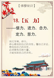 18 五力 信力 进力 念力 定力 慧力 1 信力就是切实相信的力量 信力是很重要的 信为道源功德母 道源功德母就是有一个信力 相信一个事情一定能成功 相信观世音菩萨一定会救我们 功德母就是这个道源 即根源 2 进力