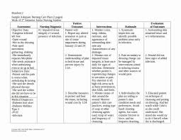 Nursing Care Plans Template Lovely 15 Patient Care Plan Template Pdf Word Nursing Care Plan Nursing Care Care Plans