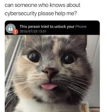 Meowingtons Hacker Voice I M In