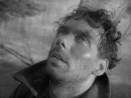 Christian's Cinematic Syntax: A Review of “The Cranes Are Flying”