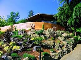 Low Maintenance Front Garden Ideas Australia No Lawn Google Search Backyard Garden Design Rock Garden Design Rock Garden