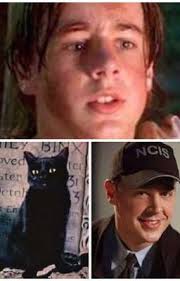 Rosie Jones & Thackery Binx/Timothy McGee love story| Hocus Pocus/NCIS