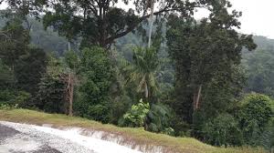 Expatriates.com has listings for jobs, apartments, items for sale, services, and community. Perak Land Land For Sale In Perak Sitiawan Malaysia Penang Properties Com