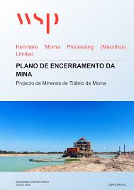 Image result for Siphonochilus kilimanensis