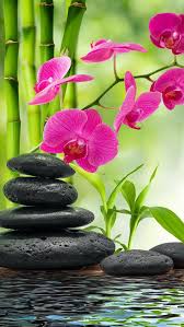 Epingle Par Frederique Sur Zen Attitude Peinture Zen Peinture Fleurs Paysage Zen