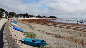 Morbihan Port Saint Jacques Sarzeau Voyages Beach Outdoor