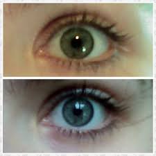 Youreyecolour Green Eye Colour A Rare Human Eye Colour