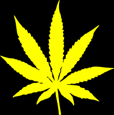Gambar baru diunggah setiap minggu. Free Weed Plant Cartoon Download On Stars Daun Ganja Vektor Clipart Full Size Clipart 428051 Pinclipart