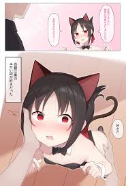 Bush Nekomimi No Kaguya-sama- Kaguya-sama Wa Kokurasetai Hentai Longhair »  EHENTAI.ME