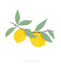 Illustration Graphique Dessin Fait Main Fruit Citron Calendrier Art Design Procreate Art Design Illustration Illustration Art