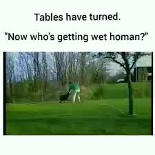 Video Memes Tov9xlge6 Ifunny Getting Wet Memes Turn Ons