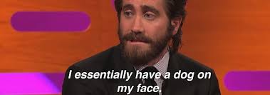 Jake gyllenhaal is a wonderful american actor, known for his role in such films as donnie darko and jarhead. 21 Times Jake Gyllenhaal Was A Lovable Little Shit