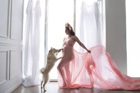 Find recommended local photographers fast & free on bark Maternity Newborns Families Wedding Photographer Newborn Photographer Maternity Photographer In Washington Dc Maryland And Virginia