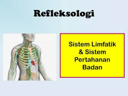 Sistem pertahanan dan keamanan indonesia mengalami transformasi yang cukup substansial. Ainatikah828 Official Homepage Anyflip