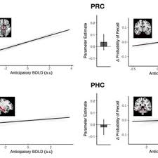 Find test answers search for test and quiz questions and answers. Pdf Tuned To Learn An Anticipatory Hippocampal Convergence State Conducive To Memory Formation Revealed During Midbrain Activation