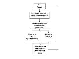 Flow Chart Of Science And Data Management Each Box