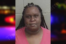 Samara Mitchell — Wayne County Jail Bookings