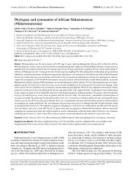 Image result for Melastomastrum segregatum