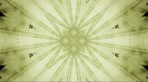 Image result for Ateleia