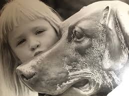 Digital photo academy instructor in Boston