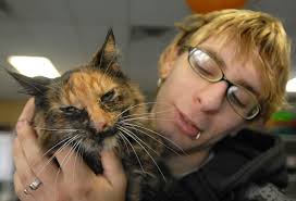 CatNap from the Heart celebrates uniting felines with friends