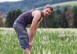 Copyright © schäfer shop 2019. Demeterhof Schwalmtal Vogelsberg Original