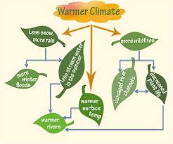 Science For Kids Climate Change Rocky Mountain Research