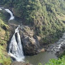 Dandeli Kingfisher Jungle Stay Resort Offer Stay Accommodation Services Like Resort Booking Dandeli Book Homestay In Dandeli Hotels Book Taman Nasional Safari