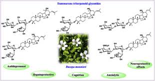 Image result for Bacopa monnieri