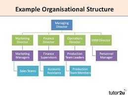 Hierarchy Hr Department Human Resource Management Commerce