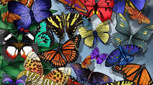 Every image can be downloaded in nearly every resolution to achieve flawless performance. Butterfly Desktop Backgrounds 2021 Live Wallpaper Hd