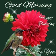 Maybe you would like to learn more about one of these? Happy Tuesday Good Morning Happy Happy Tuesday Good Morning Tuesday