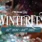 Winterfest - St Ives Bay ❄️ event image