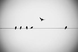 Tiny Birds On A Wire Tattoo Black And White Prints Bird Decor Black And White Photography Etsy In 2020 Black And White Prints Wire Wall Art Birds Tattoo