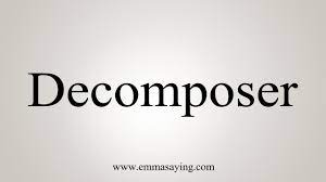 Listen to the audio pronunciation in english. How To Say Decomposer Youtube