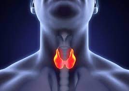 This swelling appears as a lump at the front of the neck which sometimes goes up and down when swallowing. Early Signs Of Medullary Thyroid Cancer And Common Symptoms