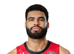 UNC Asheville Bulldogs Men's College Basketball Roster