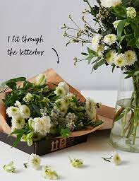 =>>click here to visit eflorist<<= send beautiful & affordable floral bouquets that will impress! White Flower Letterbox Gift M S
