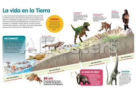 Imgc Allpostersimages Com Img Print Posters Infografia Que Describe La Evolucion De La Vid Evolucion De La Vida Evolucion De Las Especies Ciencias De La Tierra