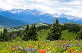 12 Travel Inspired Zoom Backgrounds For Your Next Virtual Meeting Travel Trivia Travel Inspired Scenery Photography Background