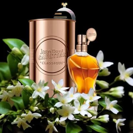 Perfume Jean Paul Gaultier Classique Essence Classique Essence De Parfum Jean  Paul Gaultier Women
