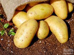 Diverse varietà di patate, diversi tipi di patate, produzione di diverse varietà di patate. Le Varieta Di Patate Ricettedalmondo It