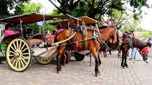 Check spelling or type a new query. 60 Gambar Kuda Delman Kartun Cikimm Com