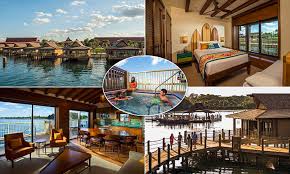 We did not find results for: Disney Reveals Luxurious Overwater Bungalows For 1 400 Per Night In Orlando Daily Mail Online