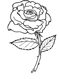 These colors occur naturally in nature and are on the light spectrum, so no color combine to make blue. Printable Rose Pictures Coloring Home