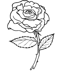 Have fun discovering pictures to print and drawings to color. Printable Rose Pictures Coloring Home
