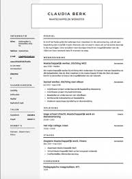 Het Gratis Cv Voorbeeld Maatschappelijk Werker Sollicitatiecursus Com