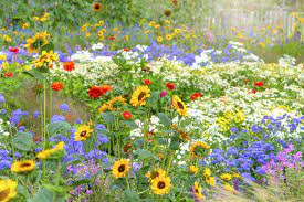 A beautiful fresh bouquet professionally arranged and delivered by the local florist. 30 Flowers That Bloom In Summer Annuals And Perennials For Late Summer