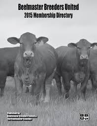 San antonio apartments by neighborhood. 2015 Membership Directory By Beefmaster Breeders United Issuu