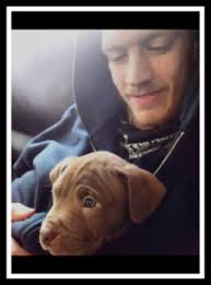 Obituary information for Cook, Jonah Desmo